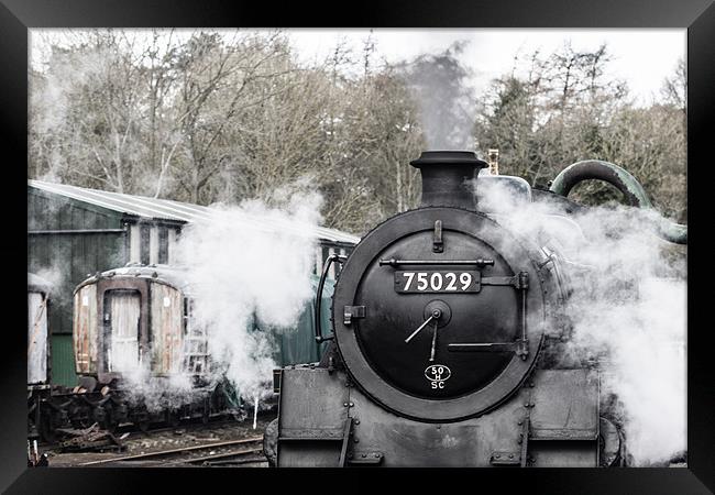 75029 The Green Knight Framed Print by Neil Nicklin