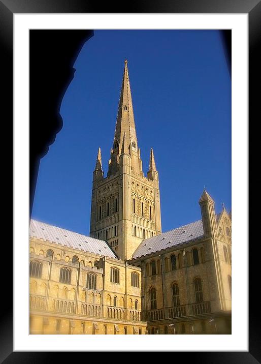  Norwich Cathedral Framed Mounted Print by Gordon Holmes