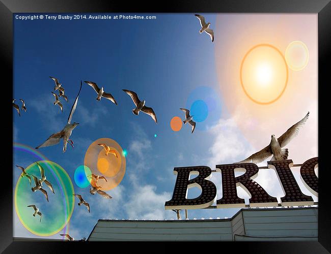  Seagull lens flare Framed Print by Terry Busby