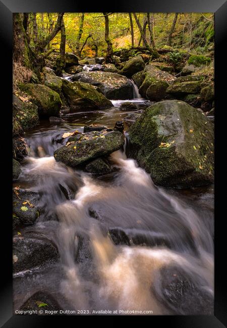 Autumn's Cascade of Water through Padley Gorge  Framed Print by Roger Dutton