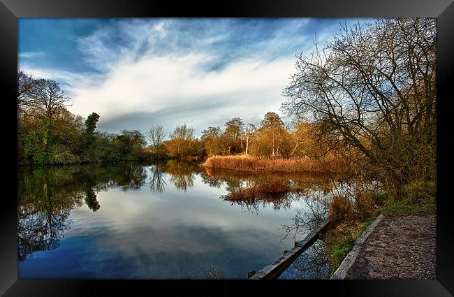 Lower Pool, Park Lime Pits Framed Print by Steve Wilcox