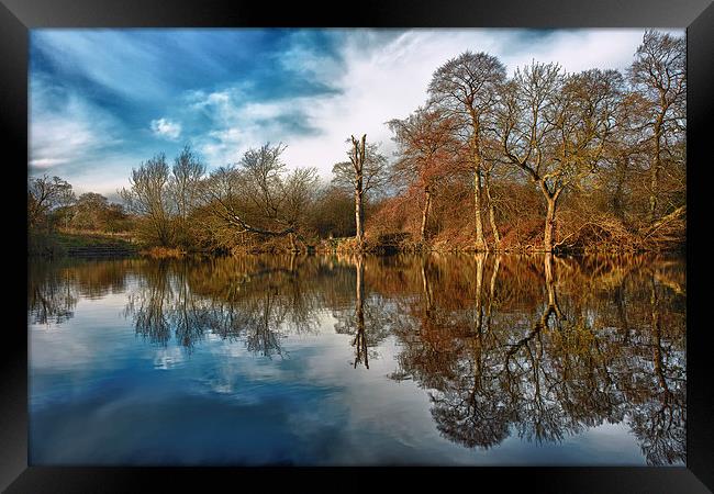 Park Lime Pits Reflections.... Framed Print by Steve Wilcox