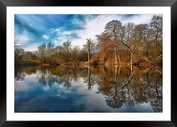 Park Lime Pits Reflections.... Framed Mounted Print by Steve Wilcox