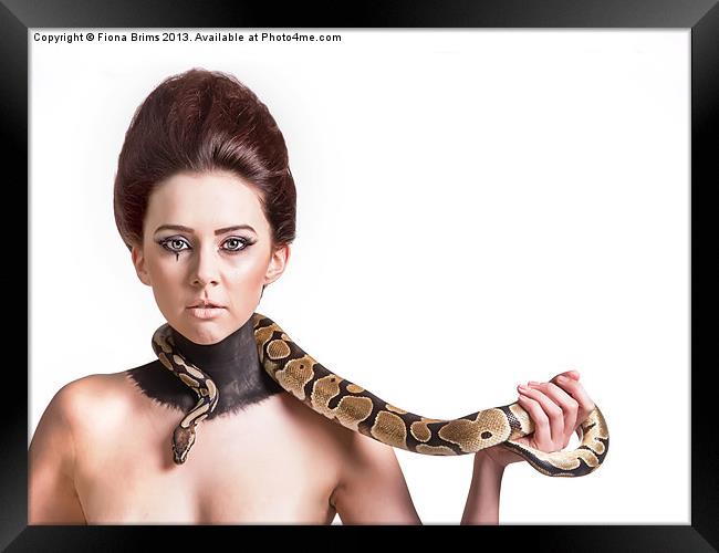 Snake Charmer Framed Print by Fiona Brims