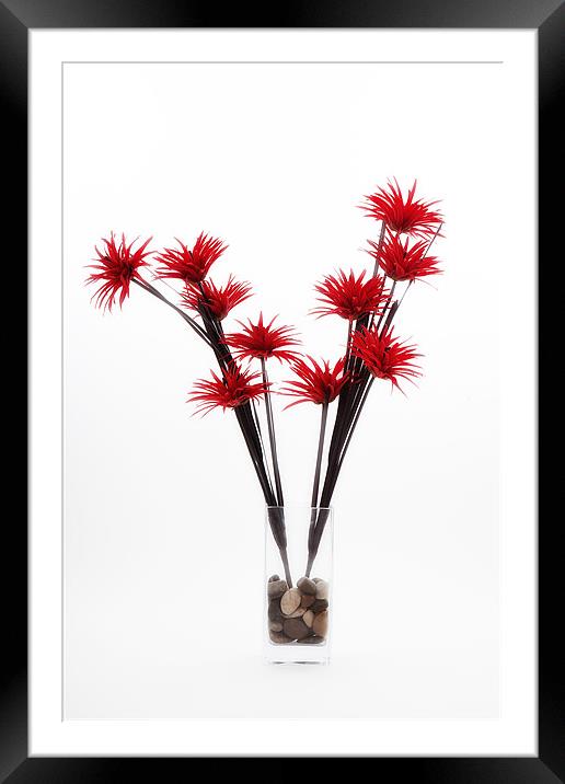 Red Flowers Framed Mounted Print by Paul Rayment
