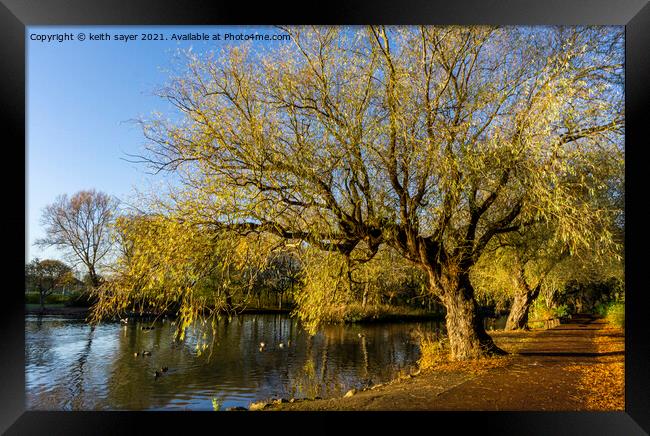 Autumn in Locke Park Redcar Framed Print by keith sayer