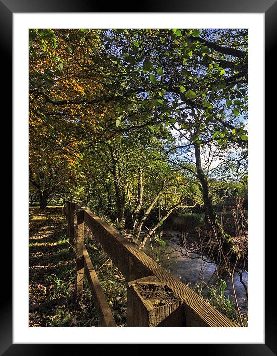 Autumn By The Stream Framed Mounted Print by keith sayer