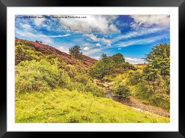  The Stream  Framed Mounted Print by keith sayer