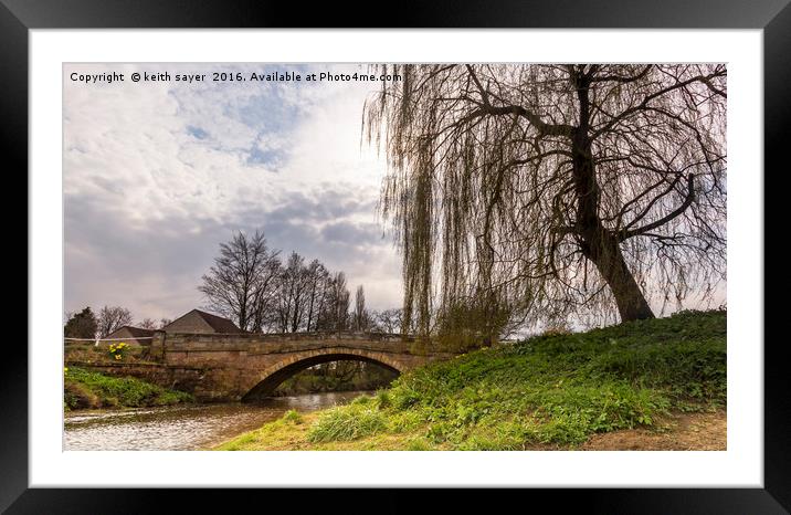 Weeping Willow Framed Mounted Print by keith sayer