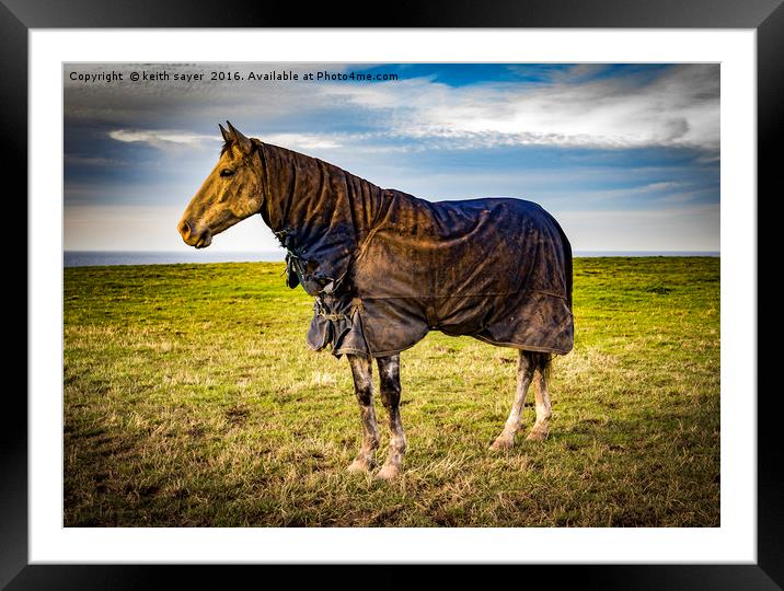 Standing Proud Framed Mounted Print by keith sayer