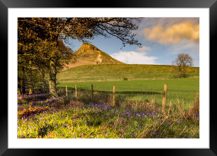 Roseberry Bluebells Framed Mounted Print by keith sayer