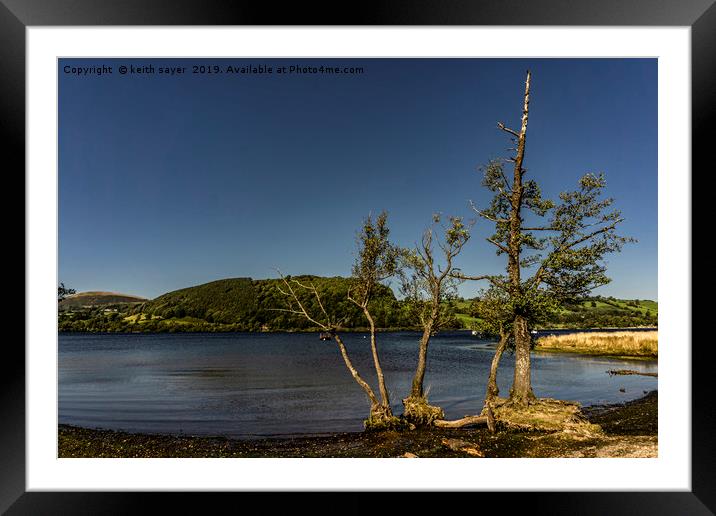 Trees on Ullswater Framed Mounted Print by keith sayer