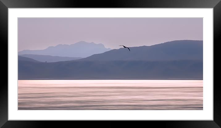 Coastline with seagull Framed Mounted Print by Elizma Fourie