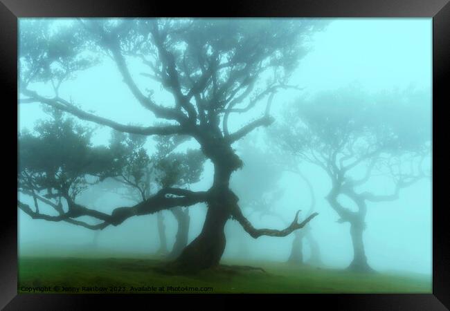 The Valley of Lost Souls - Forest Queen Framed Print by Jenny Rainbow