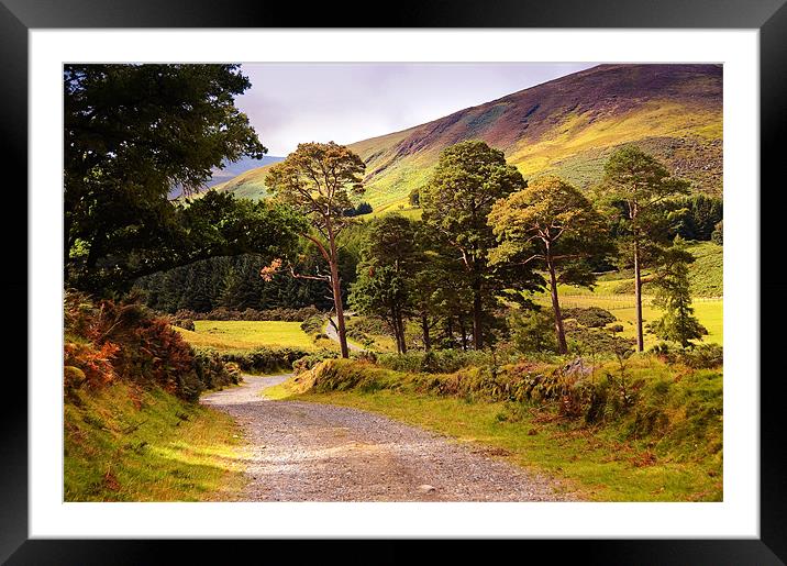 Celtic Spirit. Wicklow  Mountains. Ireland Framed Mounted Print by Jenny Rainbow