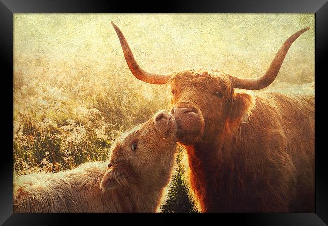 Mammy Love. Highlands Trossachs. Scotland Framed Print by Jenny Rainbow