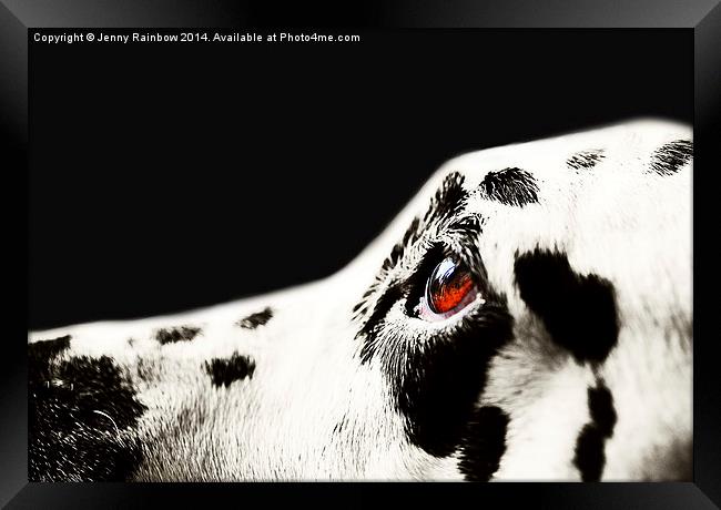 The Amber Eye. Kokkie. Dalmation Dog Framed Print by Jenny Rainbow