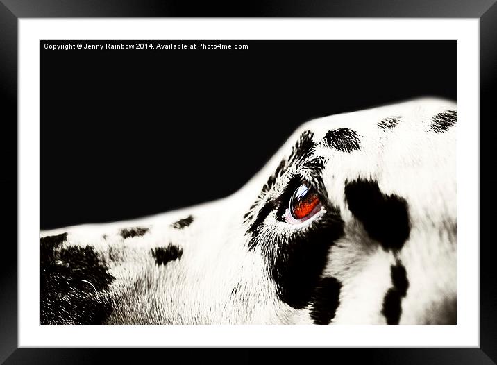 The Amber Eye. Kokkie. Dalmation Dog Framed Mounted Print by Jenny Rainbow