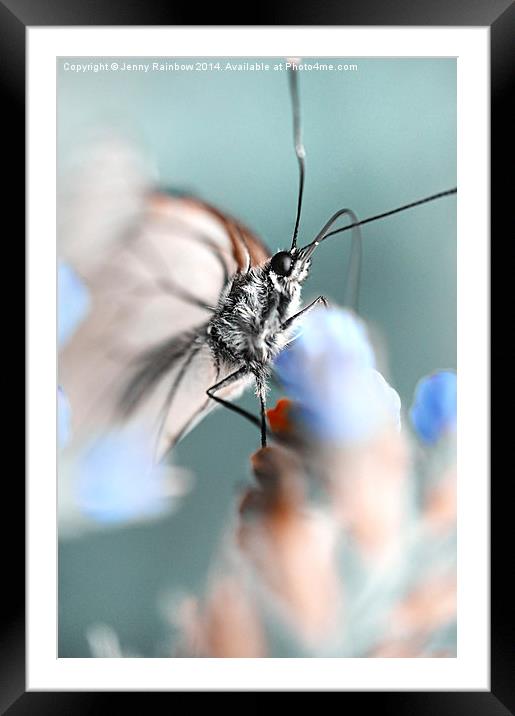 Butterfly Eyes. Nature in Alien Skin Framed Mounted Print by Jenny Rainbow