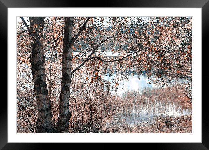  Loch Achray. Nature in Alien Skin Framed Mounted Print by Jenny Rainbow