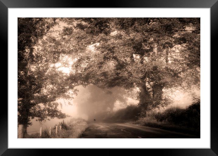  Black Dog on a Misty Road. Misty Roads of Scotlan Framed Mounted Print by Jenny Rainbow