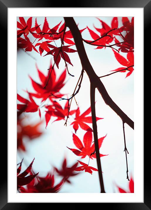  Autumn Painting in Japanese Style Framed Mounted Print by Jenny Rainbow