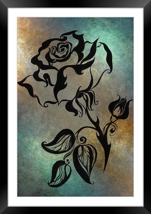  Chinese Rose. Blue  Framed Mounted Print by Jenny Rainbow
