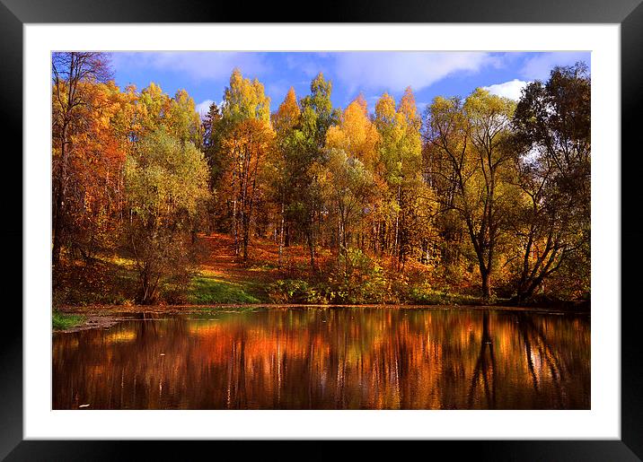  Autumn Reflections  Framed Mounted Print by Jenny Rainbow
