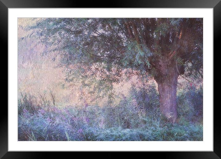  Blue Willow. Monet Style  Framed Mounted Print by Jenny Rainbow