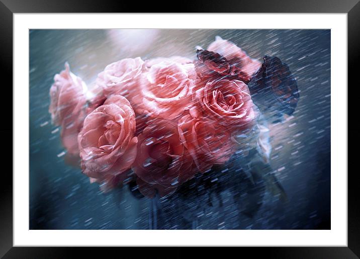  Rain Red Roses Nostalgia Framed Mounted Print by Jenny Rainbow