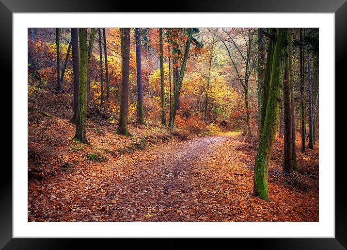 Path Through the Colorful  Autumn Framed Mounted Print by Jenny Rainbow