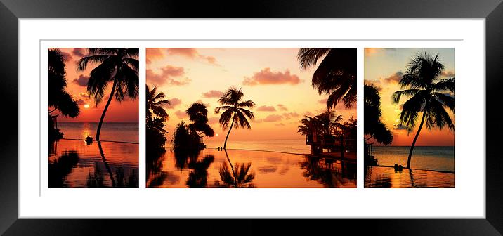  Tropical Sunset. Triptych Framed Mounted Print by Jenny Rainbow