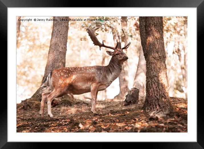 King of the Forest 5 Framed Mounted Print by Jenny Rainbow