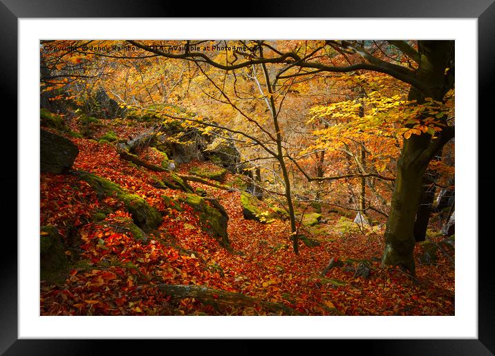 At the Rocky Edge Framed Mounted Print by Jenny Rainbow