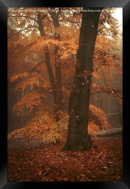 Misty Woods Framed Print by Jenny Rainbow