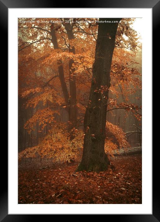 Misty Woods Framed Mounted Print by Jenny Rainbow