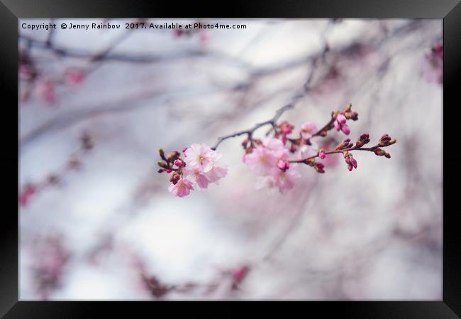 Branch of blooming sakura Framed Print by Jenny Rainbow