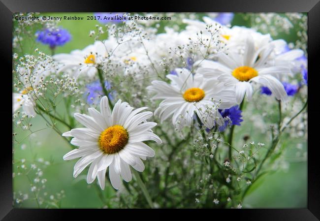 Daisies and Cornflowers Bouquet                    Framed Print by Jenny Rainbow