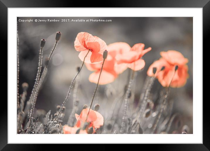 Red Poppies Remembrance 3 Framed Mounted Print by Jenny Rainbow