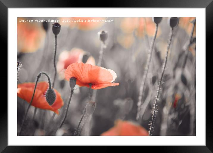 Red Poppies Remembrance 4 Framed Mounted Print by Jenny Rainbow