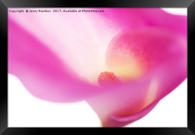 Passion for Flowers. Pink Veil Framed Print by Jenny Rainbow