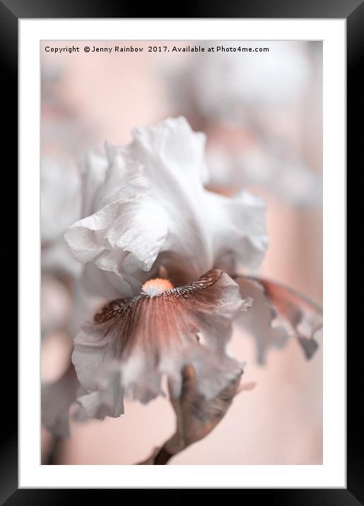 Graceful Dream Framed Mounted Print by Jenny Rainbow