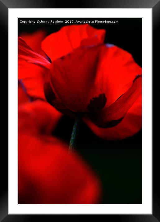 Flaming Red Poppies Framed Mounted Print by Jenny Rainbow