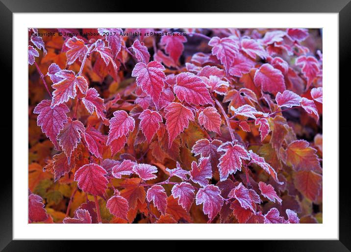 Frosty Red Leaves Framed Mounted Print by Jenny Rainbow