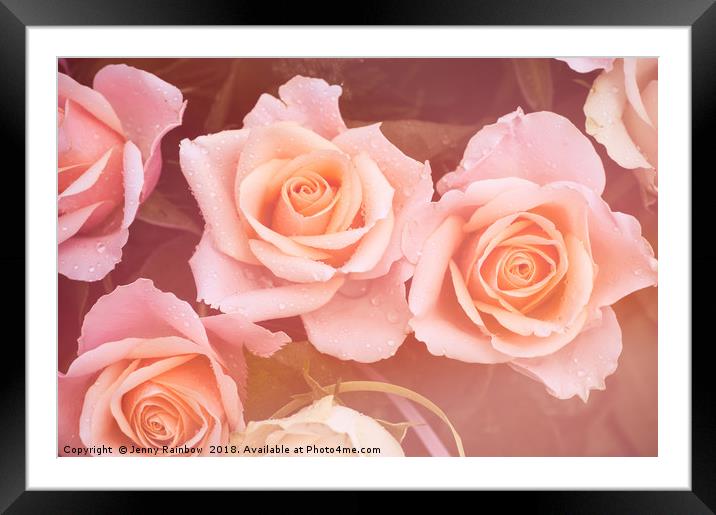 Creamy dreamy pink roses bouquet Framed Mounted Print by Jenny Rainbow