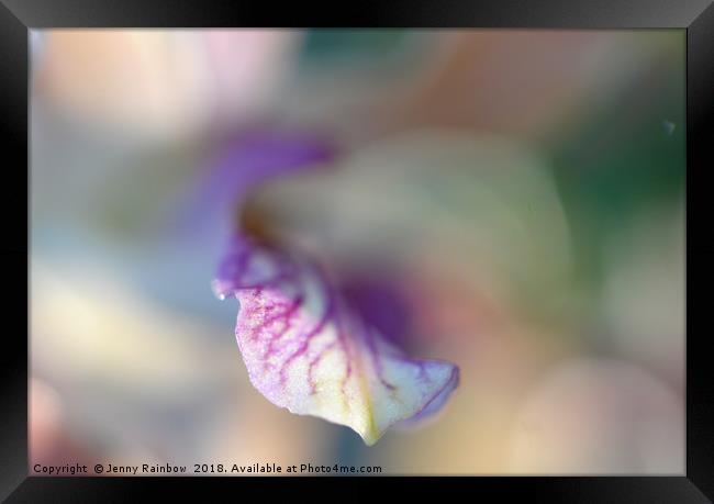Sensual Touch of Exotic. Orchid I Framed Print by Jenny Rainbow