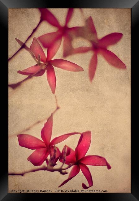 Red Frangipani Flowers Framed Print by Jenny Rainbow
