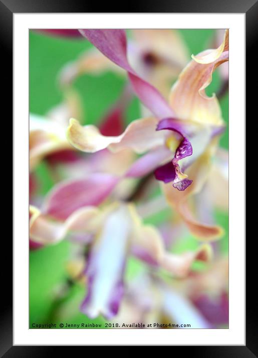 Sensual Touch of Exotic II. Orchid II Framed Mounted Print by Jenny Rainbow