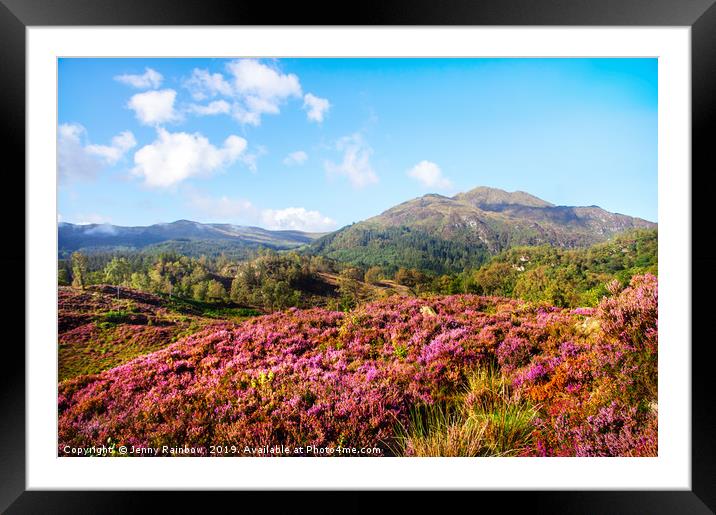 Vivid Glimpses Of Autumn In Trossachs Framed Mounted Print by Jenny Rainbow