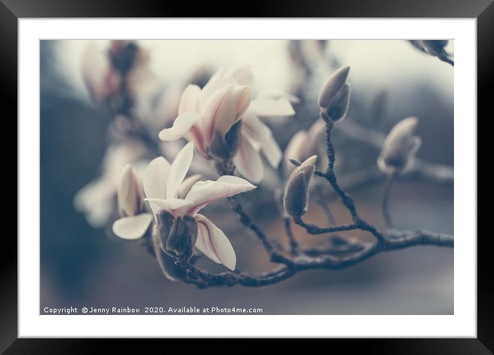 Zen Magnolia Blossom Boho Style Framed Mounted Print by Jenny Rainbow